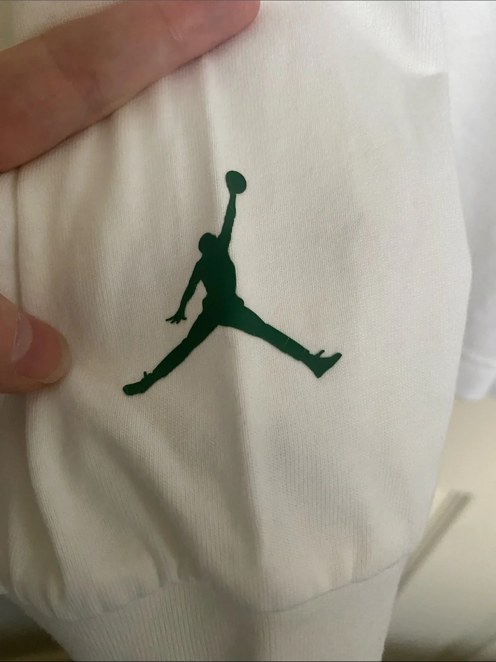 Jordan ASW 2020 The Wings Long Sleeve Graphic Tee